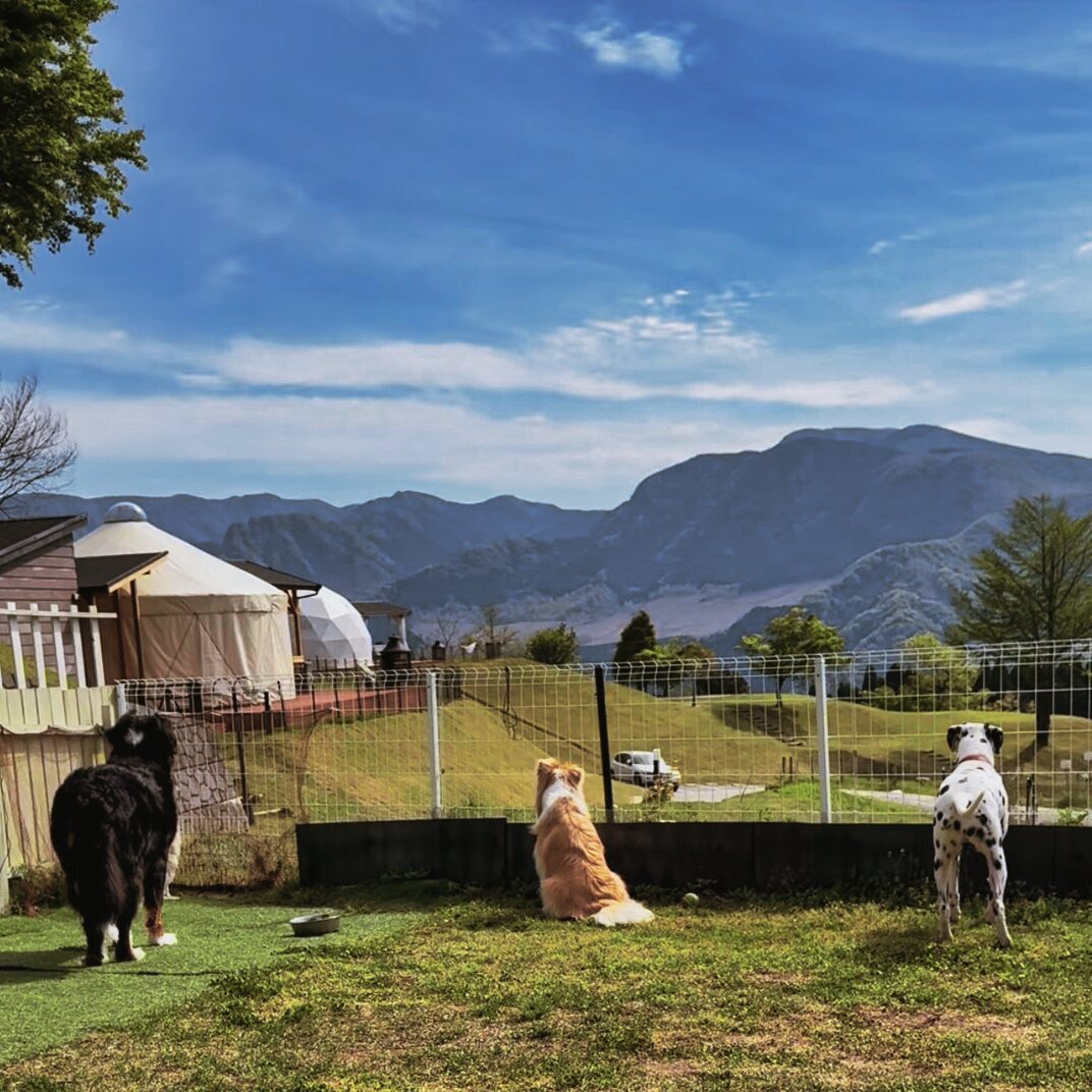 愛犬とグランピング