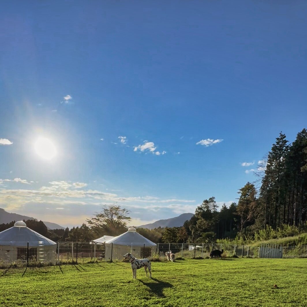 愛犬とグランピング