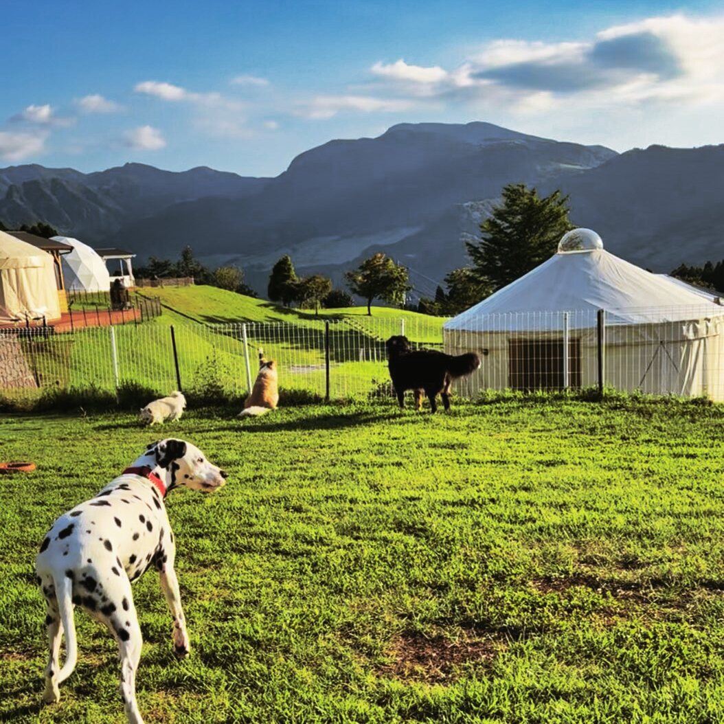 愛犬とグランピング