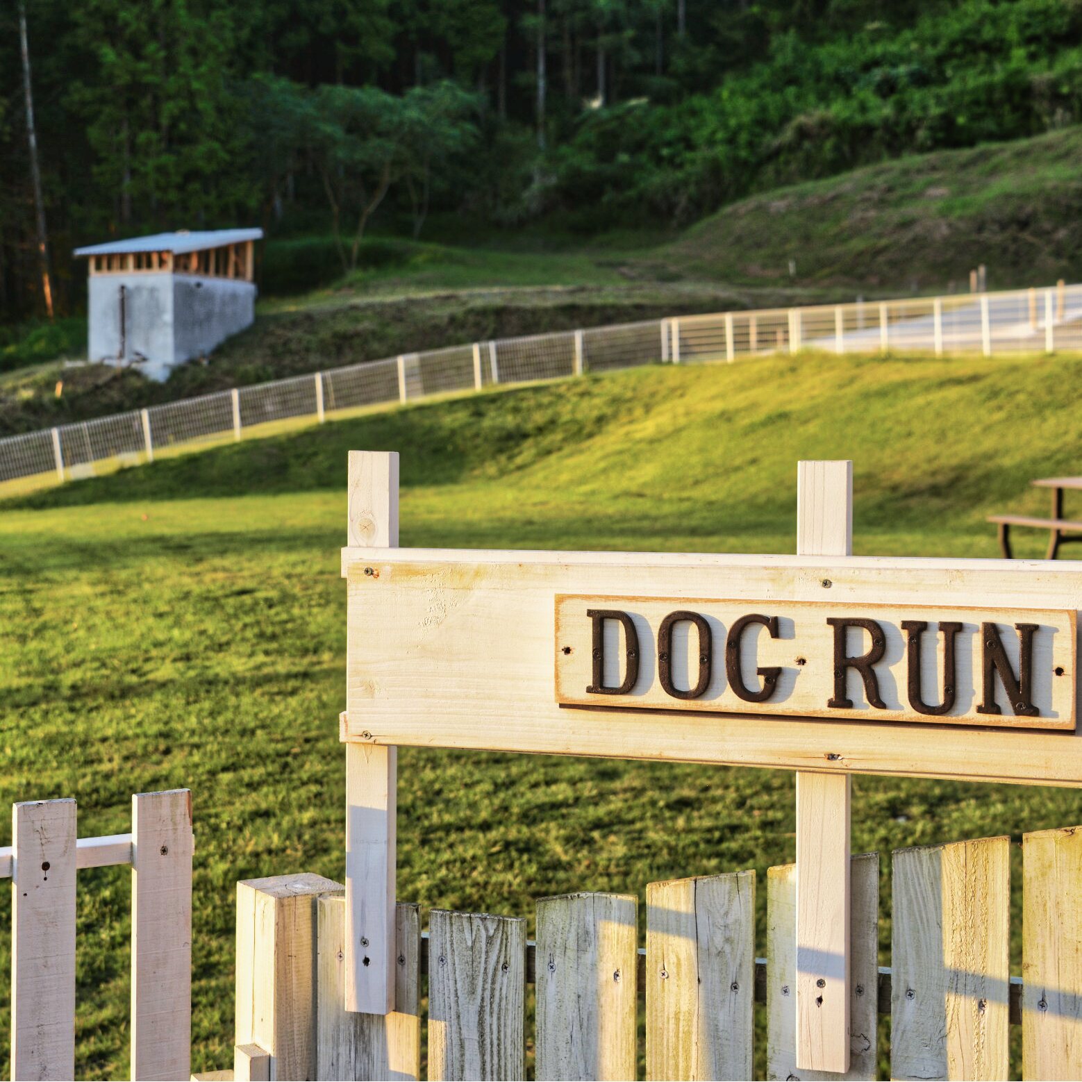 ドッグラン増設