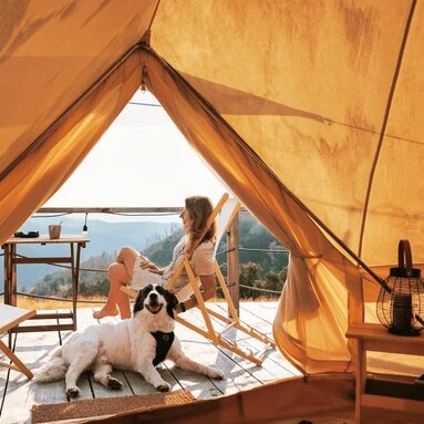 ほぼすべてのお部屋で愛犬同伴